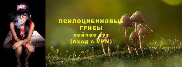 не бодяженный Арсеньев