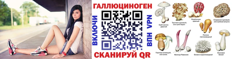 дарнет шоп  Мензелинск  Галлюциногенные грибы прущие грибы 